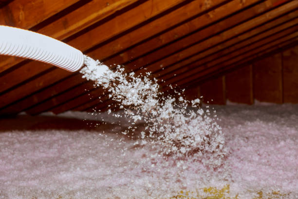 Best Best Insulation Companies  in Encinal, TX