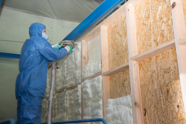 Best Insulation Contractor Near Me  in Encinal, TX